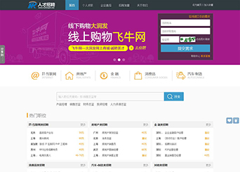 建站案例-人才招聘網