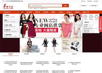 建站案例-網絡購物電子商城