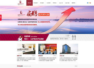 點擊查看建站案例-河南扁鵲醫藥孵化器案例