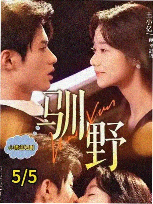 机器人总动员TV版动画